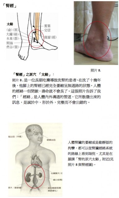 照片八、腎經.jpg