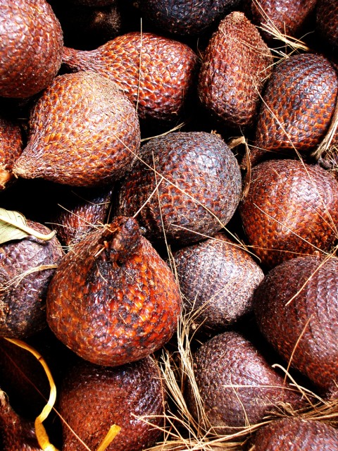 salak fruits.jpg