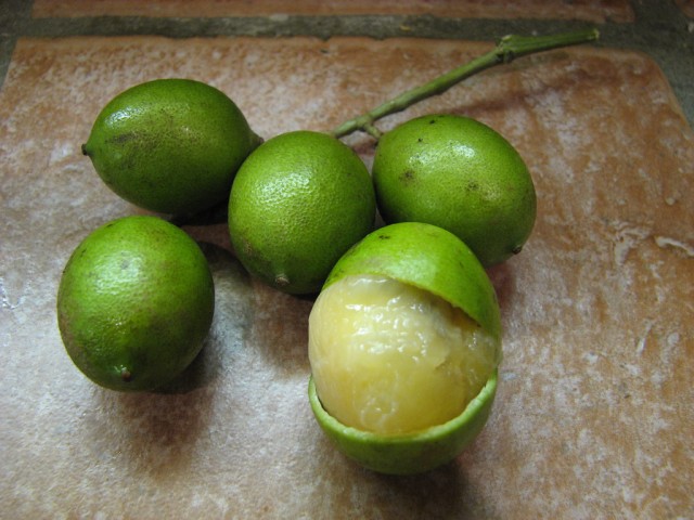 spanish lime .Mamoncillo.jpg