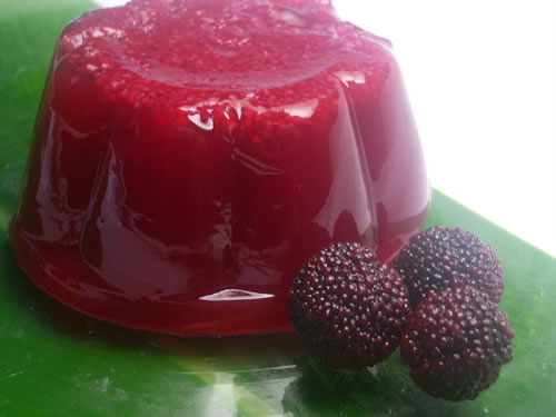 morella rubra jelly.jpg