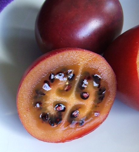 tamarillo2.jpg