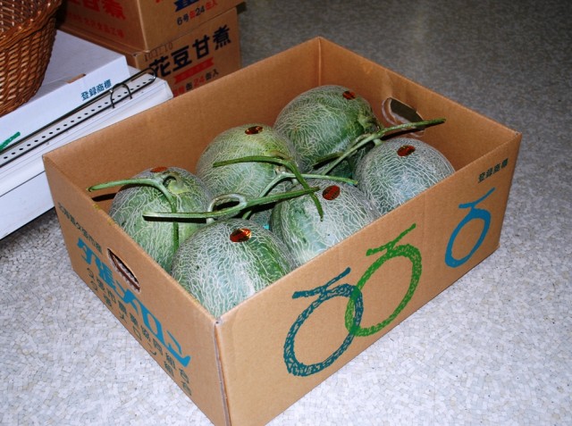 Yubari_melons_in_the_cardboard_box夕張香瓜.jpg